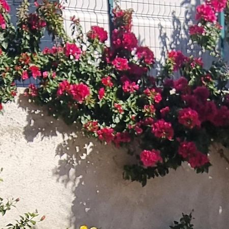 Vila Megi-Rent Room Vlorë Εξωτερικό φωτογραφία