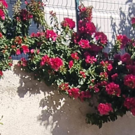 Vila Megi-Rent Room Vlorë Εξωτερικό φωτογραφία
