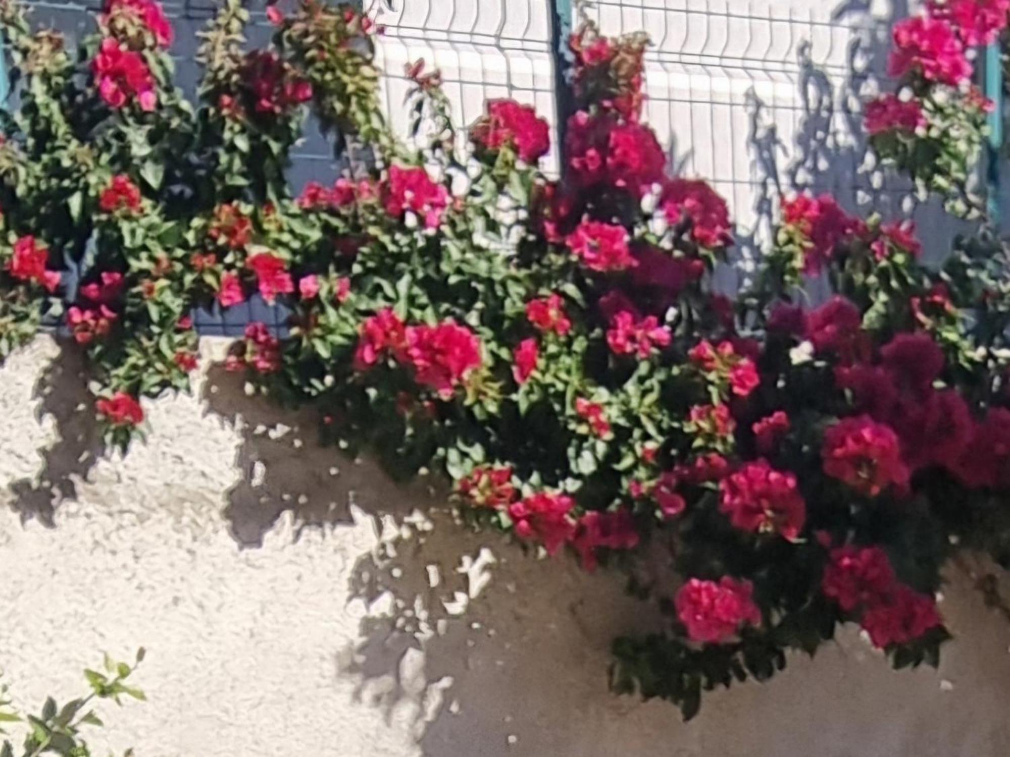 Vila Megi-Rent Room Vlorë Εξωτερικό φωτογραφία