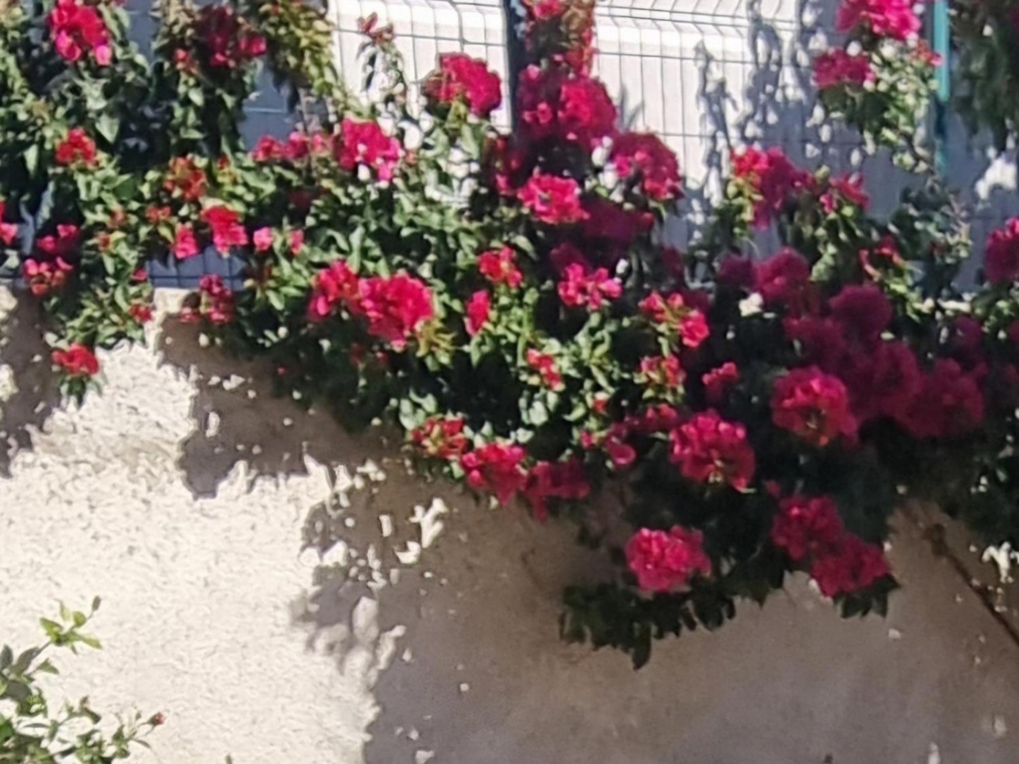 Vila Megi-Rent Room Vlorë Δωμάτιο φωτογραφία
