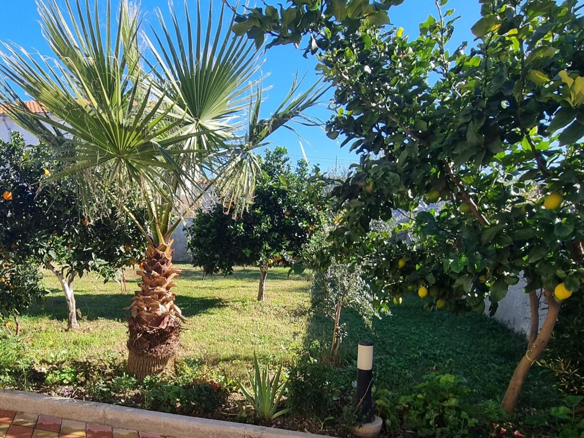 Vila Megi-Rent Room Vlorë Εξωτερικό φωτογραφία